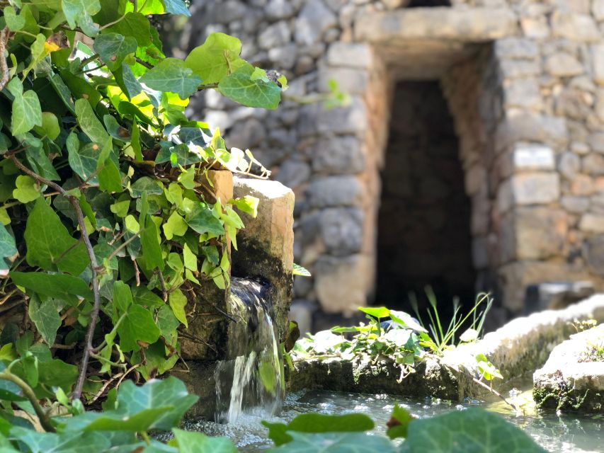 The Limestone Heritage Park and Gardens (Entry Ticket) - A practical introduction to Malta’s limestone country