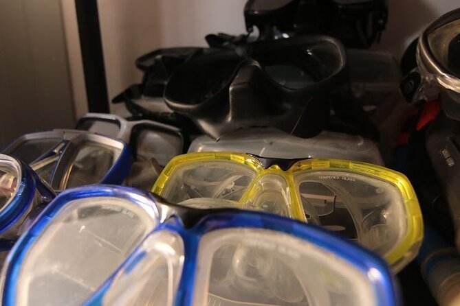 Two Morning Dives in Gozo for Certified Diver - First session: clear water, caves, and fish