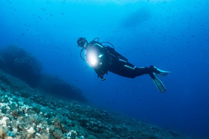 Two Morning Dives in Gozo for Certified Diver - The briefing: safety before the water