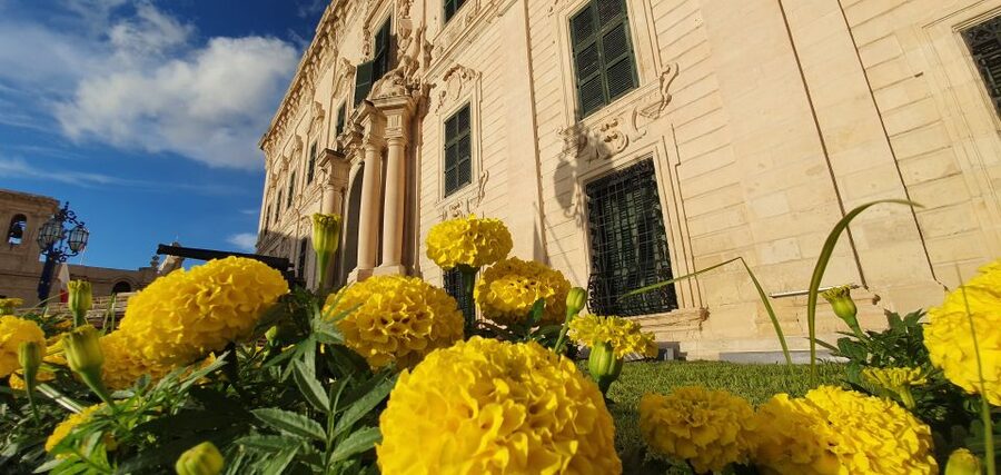 Valletta: City Walking Tour in a Small Group - Lower Barrakka Gardens and the harbor setting