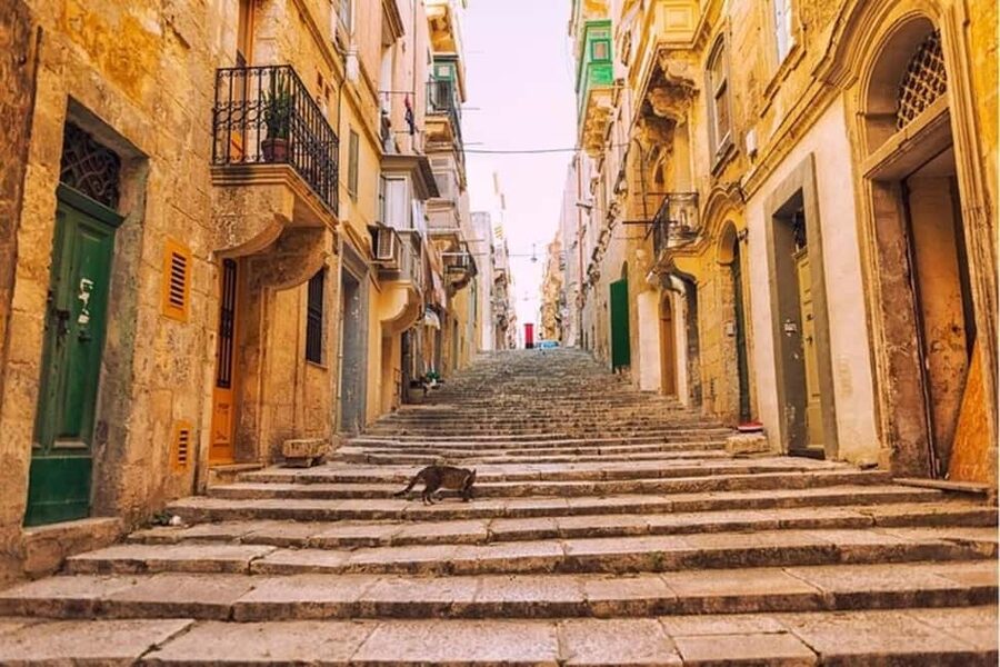 Valletta: Guided Walking Tour - Key points to know before booking