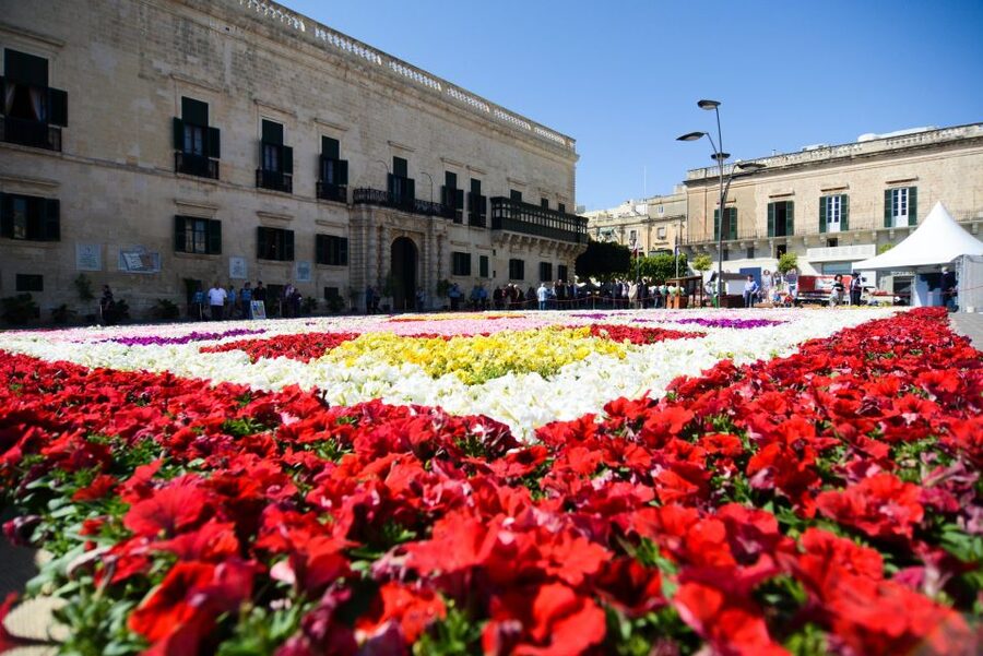 Valletta: Street Food and Culture Walking Tour - Pastizzi and the first taste of Malta